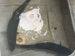 「LaGooN」蒼陽丸 日和号　 釣果