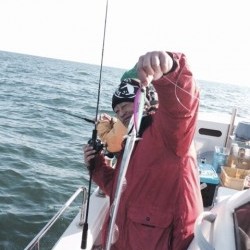 浜栄丸 釣果