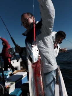 浜栄丸 釣果