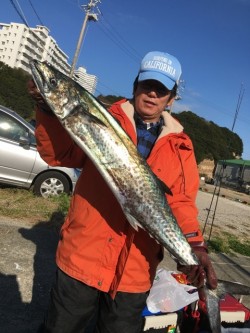 みやけ丸 釣果