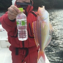 「LaGooN」蒼陽丸 日和号 釣果