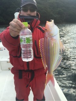 「LaGooN」蒼陽丸 日和号 釣果
