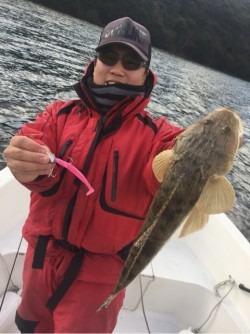 「LaGooN」蒼陽丸 日和号 釣果