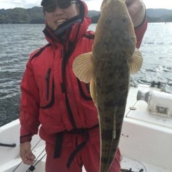 「LaGooN」蒼陽丸 日和号 釣果