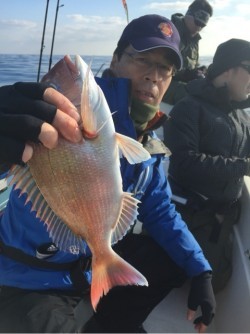 「LaGooN」蒼陽丸 日和号　 釣果
