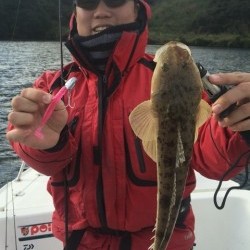 「LaGooN」蒼陽丸 日和号 釣果