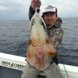 South Current 釣果