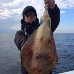 South Current 釣果