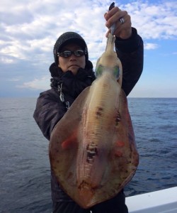 South Current 釣果