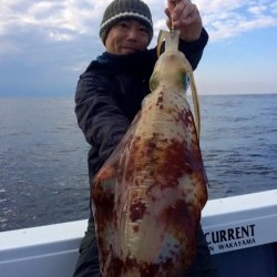 South Current 釣果