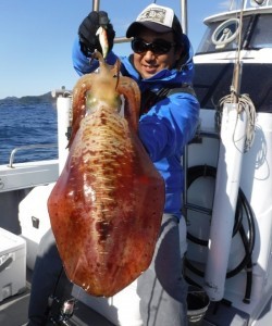 South Current 釣果