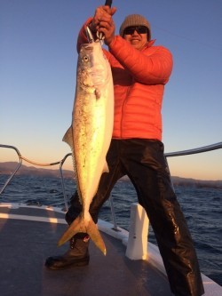 South Current 釣果