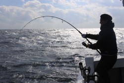 South Current 釣果