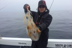 South Current 釣果