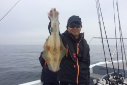 South Current 釣果