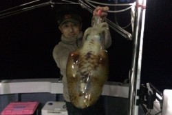 South Current 釣果