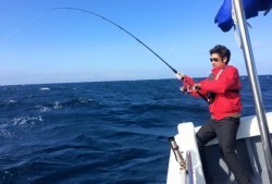 South Current 釣果