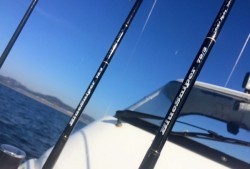 South Current 釣果