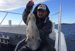 South Current 釣果