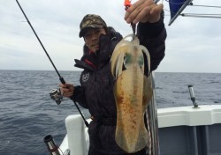 South Current 釣果