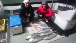 エムズジャーク（M’s JERK） 釣果