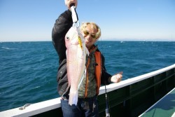 Big One　ビッグワン 釣果