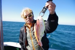 Big One　ビッグワン 釣果