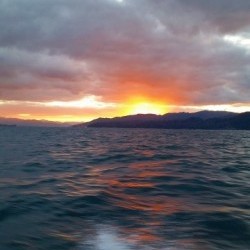 ワープゾーン 釣果