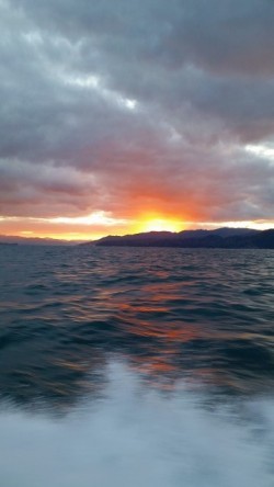 ワープゾーン 釣果