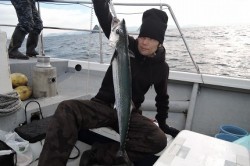 ワープゾーン 釣果