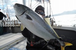 ワープゾーン 釣果