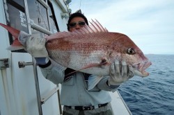 ワープゾーン 釣果