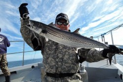 ワープゾーン 釣果