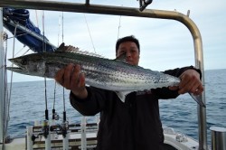 ワープゾーン 釣果