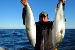 ワープゾーン 釣果