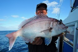 ワープゾーン 釣果