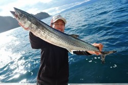 ワープゾーン 釣果