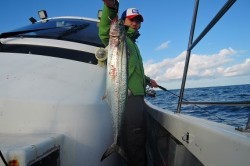 ワープゾーン 釣果