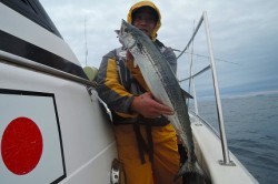 ワープゾーン 釣果