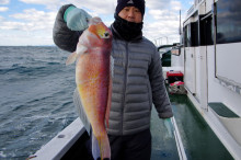 Big One　ビッグワン 釣果