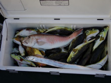 Big One　ビッグワン 釣果