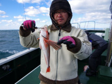 Big One　ビッグワン 釣果