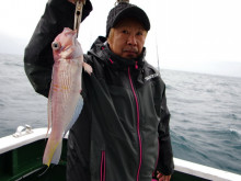 Big One　ビッグワン 釣果