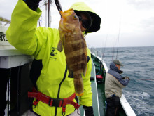 Big One　ビッグワン 釣果