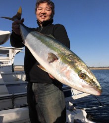 ＪＤＩ　Ｒａｃｉｎｇ　シールズマリンレジャー 釣果