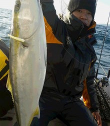 ＪＤＩ　Ｒａｃｉｎｇ　シールズマリンレジャー 釣果