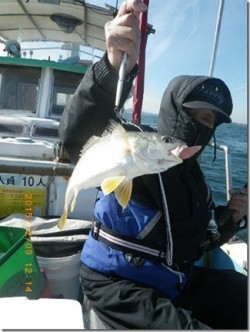 からこと丸 釣果