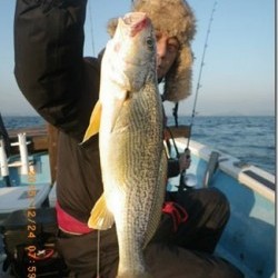 からこと丸 釣果