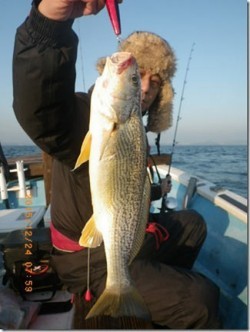 からこと丸 釣果