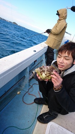 リトルワン 釣果